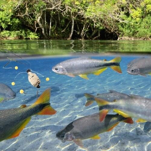 Carp Fishing Bait Cage Inline Method Feeder Spring Hook 30-80g Weighted Feeder Hook Artificial Lure Carp Fishing Accessories