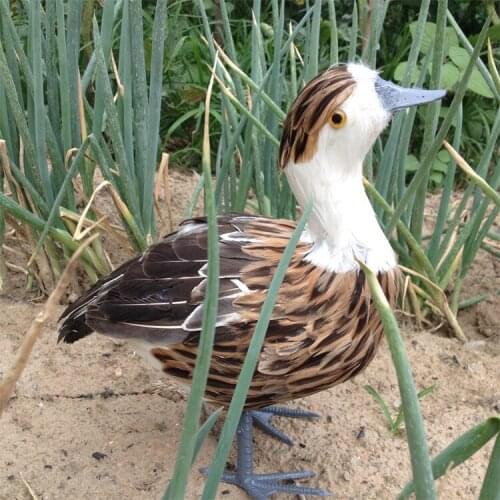 Big simulation duck model foam&furs brown female duck model gift about 38x36cm 1913