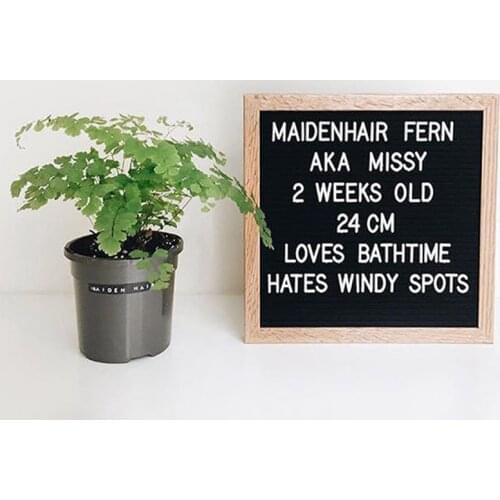 Handwork DIY Felt Letter Board Wooden Frame Changeable Symbols Numbers Characters Message Boards for Home Office Shop Kids Gifts