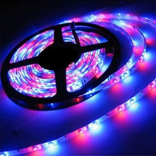 5M/10M LED Strip Lights 5050 Flexible RGB Remote Control Color Waterproof 12V Power Supply Light Strip for Bar Home Decoration