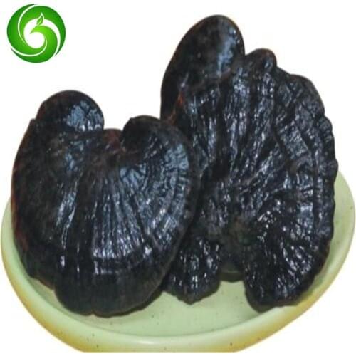 Wild Ganoderma lucidum, Ganoderma lucidum, treatment of fatigue, palpitations, insomnia, fatigue
