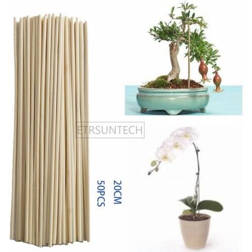 100Set Wooden Plant Grow Support Bamboo Plant Sticks for Flower Stick Cane Stands Agriculture Garden Bonsai Tool