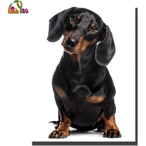5d Diamond Embroidery Dachshund Dogs Animals Diamond Painting Full Square Round Rhinestones Painting Diamond Mosaic puzzle