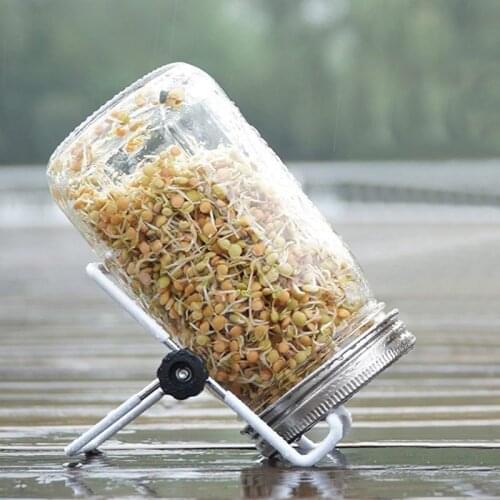 Sprouting Jar with Stainless Steel Screen Lid Wide Mouth Quart Mason Sprouter M6CE