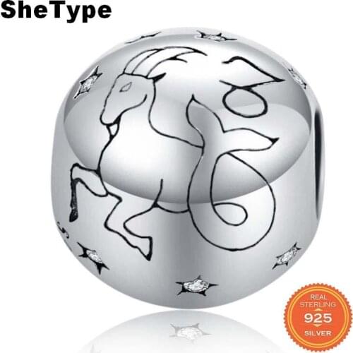 SheType 2.9g Water Sign Constellation Round Beads for Women Jewelry Making Capricorn Clear Star Charm 925 Solid Sterling Silver