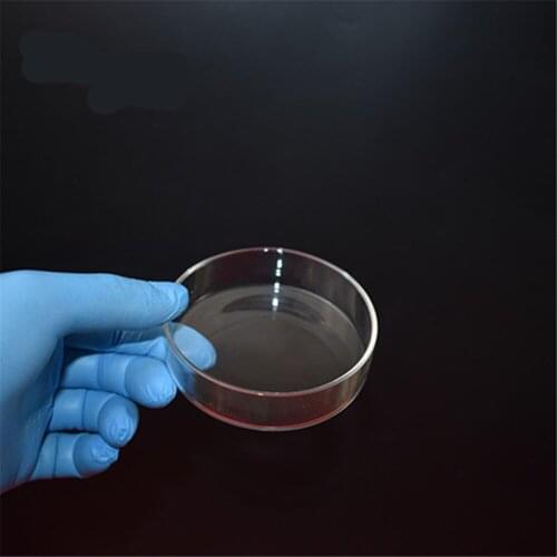 5pcs /lot 120MM High Quality Glass Petri Dish for Lab Plate Bacterial Yeast Diameter