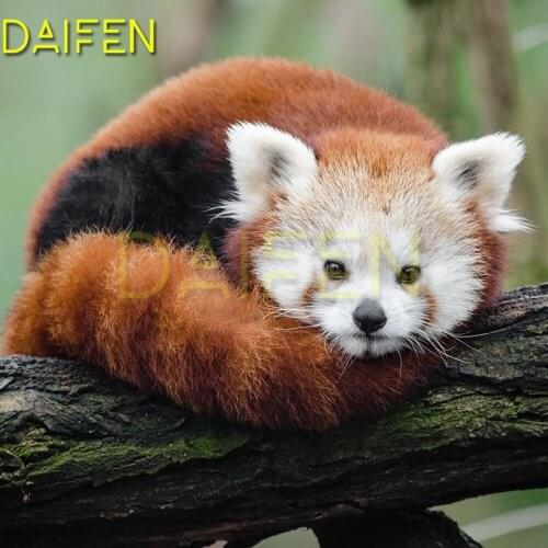 Full Round Diamond painting badger fox Full Square Diamond embroidery Cross stitch Mouse squirrel DIY 3D Diamond mosaic animal