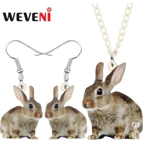 WEVENI Acrylic Easter Cute Brown Rabbit Jewelry Sets Hare Bunny Long Animal Earrings Necklace For Women Kids Gifts Jewellery