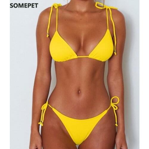Somepet Blue Swimwear