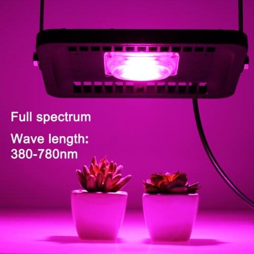 DBF LED Plant Lamps