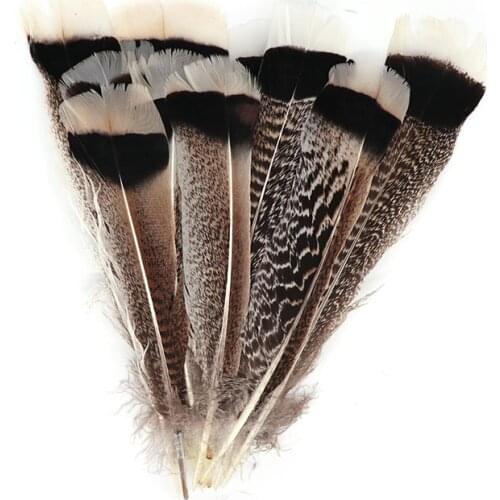 20-30cm Real Natural Eagle Feathers for Decoration Turkey Bird Pheasant Crafts Carnival Accessories Feather Decor DIY Plumes