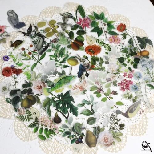 65pcs Botany Acetate Diecut shapes for Scrapbooking Happy Planner/Card Making/Journaling Project