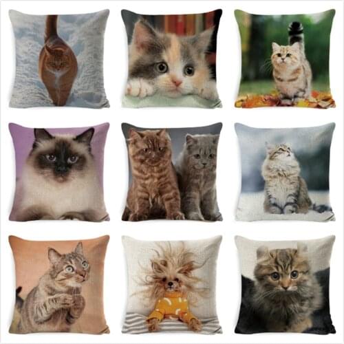 Cute Animal Cushion Cover 3D Scottish Fold Cat Pillow Covers Linen Pillow Case Car Sofa Home Decor Square Pillowcase 45*45cm