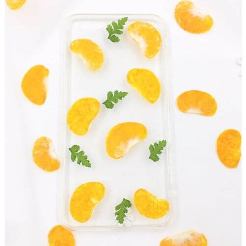 12pcs Dried Pressed Kumquat Meat Fruit Plant Herbarium For Jewelry Photo Frame Phone Case Bookmark Postcard Making DIY