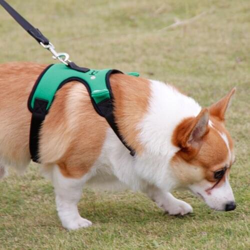 Fashion Cartoon Dog Harness and Leash Set Corgi Teddy Traction Vest Adjustable Chest Harness Dog Accessories