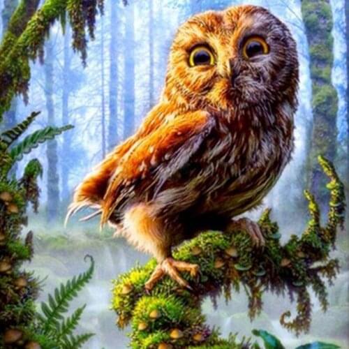 Full Diamond Painting Cross Stitch Round Diamond Mosaic Craft Diamond Embroidery 5D Diy Needlework Animal Owl Home Paintings