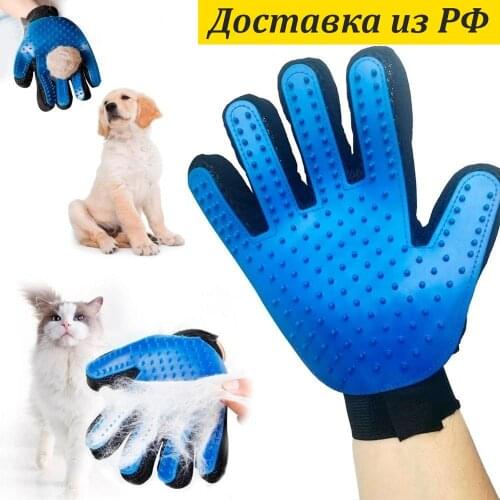 Ассорти Товаров Pet Supplies