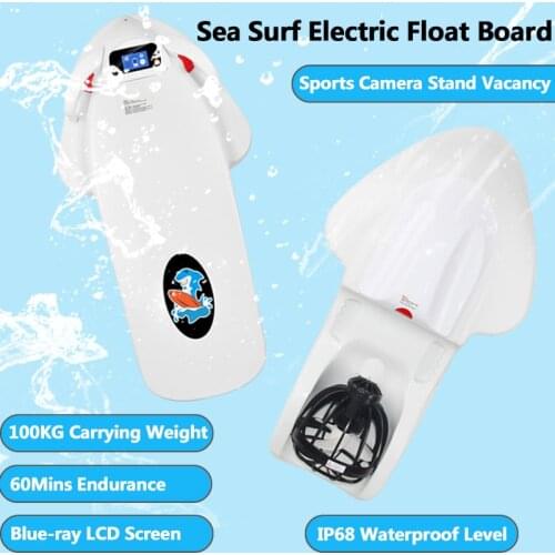 Tccicadas Skateboards