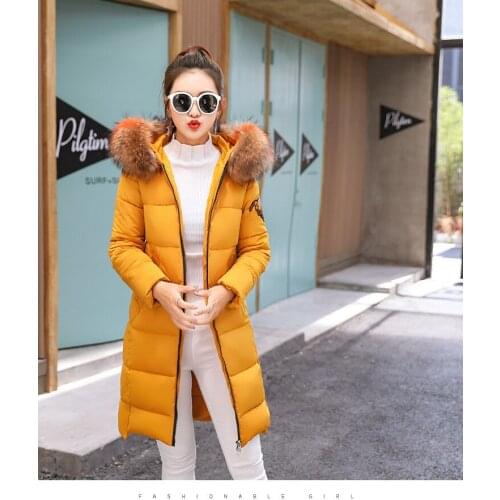 Clothes Polyester Zipper Slim Full Flocking Limited Long Fund 2018 Winter New Loose