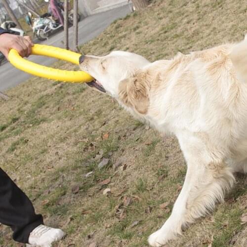 Silicone Flying Saucer Pull Ring Dog Cat Toy Game Flying Discs Resistant Chew Floating Puppy Training Interactive Dog Supplies