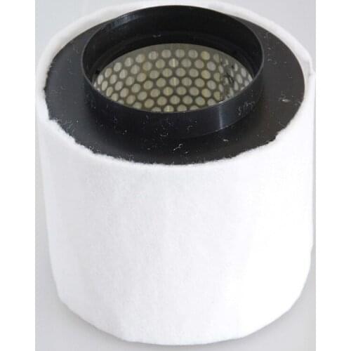 Car Engine Air Filter for Audi A8l 4.2l 2010-2012 A8l 6.3l 2011- S8 4.0tfsi 2012- 4h0 129 620 Df 4h0129620df