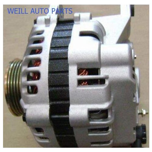 WEILL 3701020A-E01 GENERATOR ASSY for GREAT WALL DEER 491