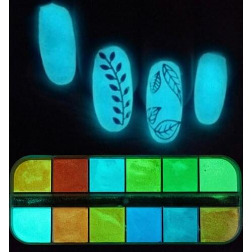 Glow in Dark Nail Glitter Powder DIY Manicure Tips Luminous Pigment Decoration