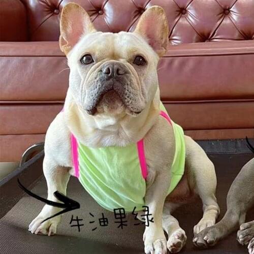 Pug Summer Cool Vest PC1523