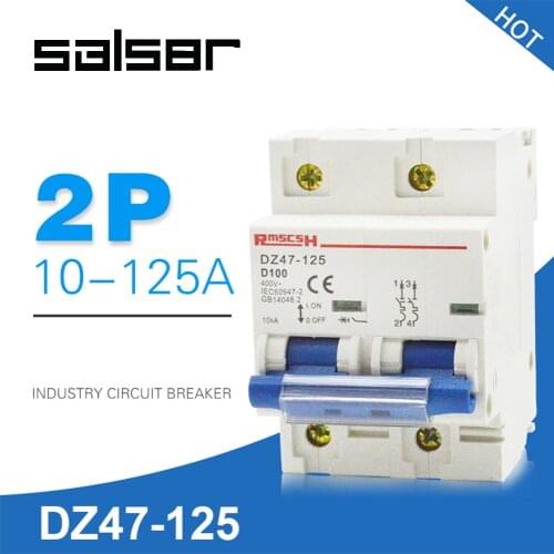 DZ47-125 2P Electric Leakage Mini Circuit Breaker Power Air Switch Household Protect safety MCB 80/100/125A