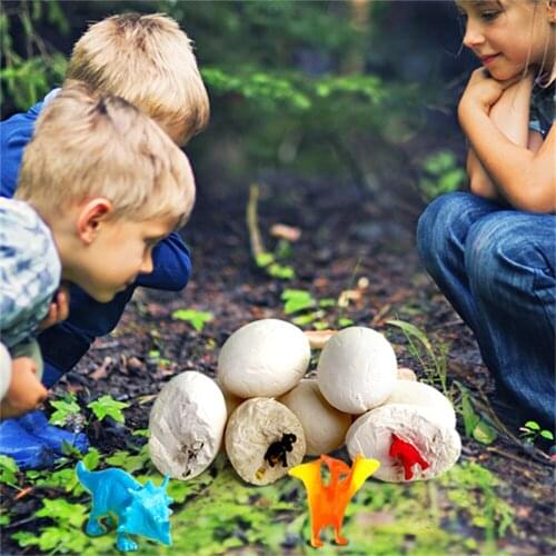 Robotime Biology Textbooks