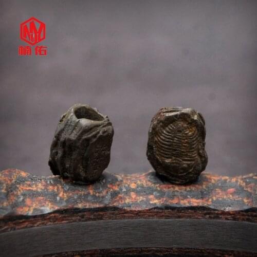 Outdoor EDC Multi-Function Tool Accessories Trilobite Fossil Paracord Knife Beads 1PC