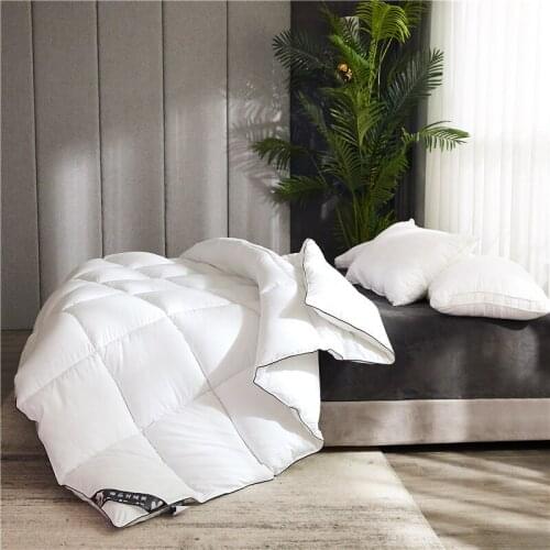 Summer Lightweight Comfortable Duvet Quilt Insert 95% White Goose Down Filling Quilted Quilt Cooling Down Blanket Filling Power
