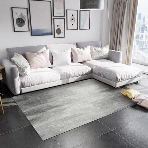 Nordic carpets for living room Entrance door mat area rug Large bedroom decoration carpet Non-slip Lounge Rug bathroom mat