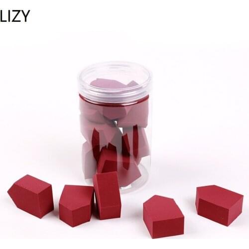 LIZY 10pcs House Shape Makeup Foundation Sponge Cosmetic Puff Powder Smooth Beauty Cosmetic Makeup Sponge Beauty Tools for Girl