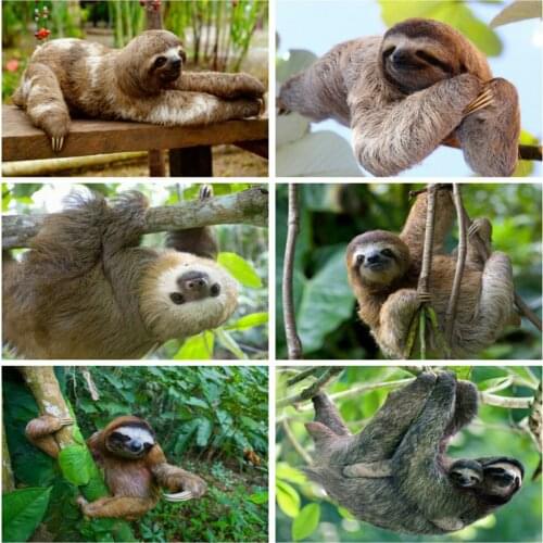 EverShine Diamond Mosaic Full Square Drill Sloth Cross Stitch Diamond Painting Animal Bead Embroidery Tree Handmade Hobby Gift