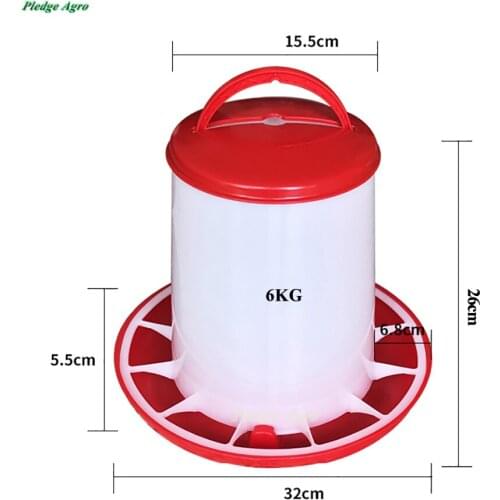 6KG Chicken Feeders Supplier Automatic Feeders Chickens Farm Animals My Orders Commercial Birds China House Farming Tools