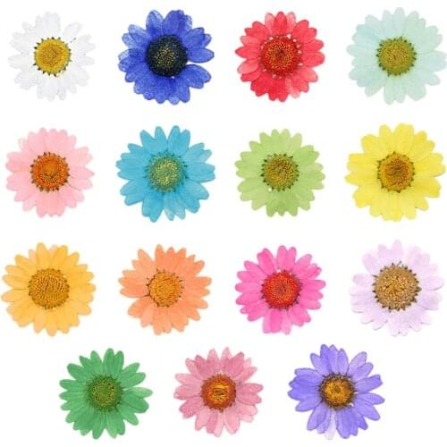100Pcs Real Natural Dried Pressed Flowers White Daisy Pressed Flower for Resin Jewelry Nail Stickers Makeup Art Crafts