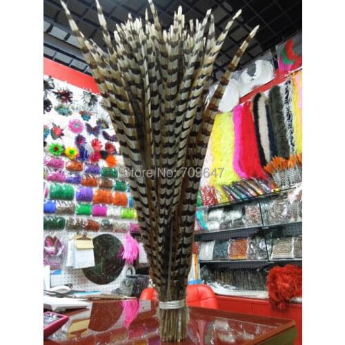 Wholesale,50Pcs/lot,70-75cm long Pheasant Feathers, Natural Reeves Venery Pheasant Tail Feathers,Reeves Tails,plume decoration