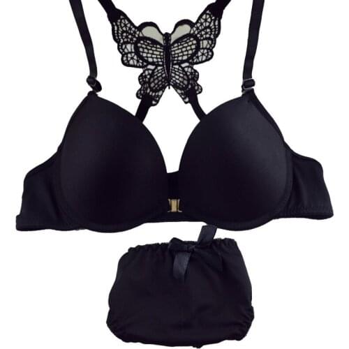 Sexy Elegant Bra and Panty Set Women Bras Underwear Lady push up bra brief set lingerie set