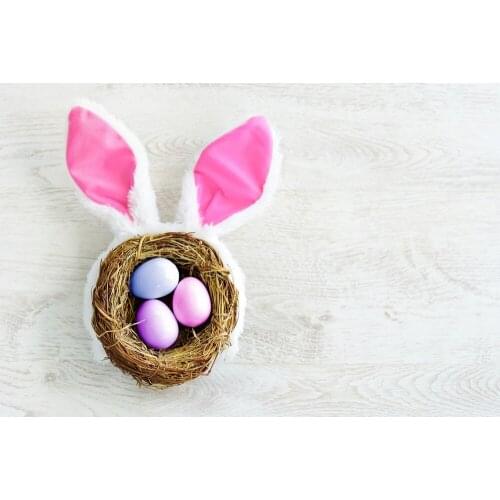 Eggs Grass Nest Easter Fotografie Backgrounds Princess Backdrop E190127A101