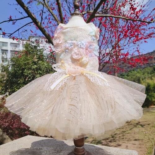 2021 Puppy Dog Princess Dress Luxury Fine Embroidered Flower Bowknot Lace Champagne Gold Dress For Small Medium Dog Pet Clothes