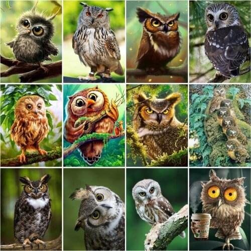 HUACAN Picture By Numbers Owl Animal Unique Gift DIY Frame On Canvas Acrylic Painting By Numbers Tree Decoration