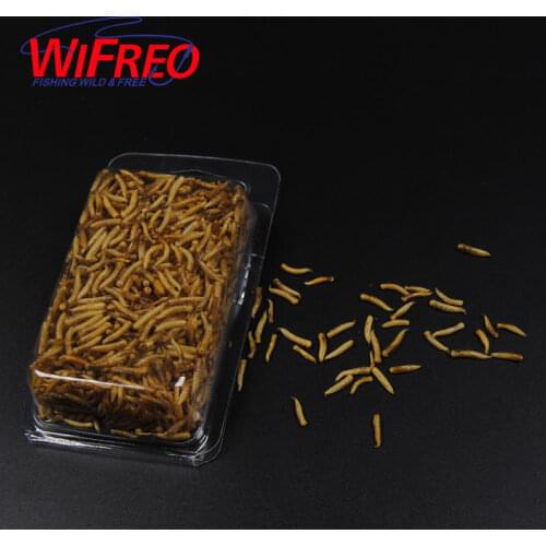 1 Pack Clean Dry Maggots for Fishing / High Protein Nutritious Fish Bait / Food Winter Carp Fishing Baits