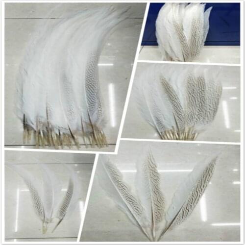10/50/100pcs Natural 20-80cm/8-32 inch silver chicken feathers white feather stage celebration DIY decoration