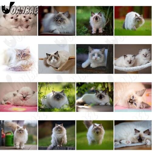 Playful Animal Cat Diamond Painting 5D Diy Wall Art Cute Cat Round Diamond Inlaid Home Room Decoration Accessories