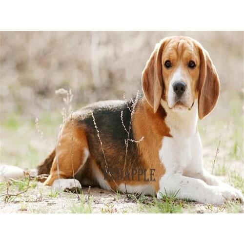 Animal Dog Beagle Printed Fabric 11CT Cross Stitch Embroidery Full Kit DMC Threads Painting Craft Handmade Knitting Stamped