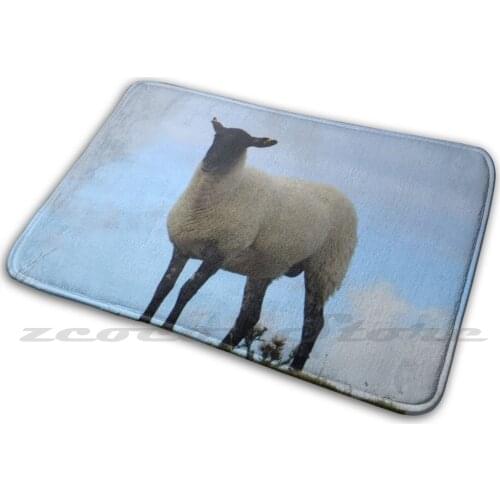 Castle Sheep Soft Mat Doorway Non-Slip Water Uptake Carpet Dorset English Heritage Holiday Ancient History Iron Age Site Hill