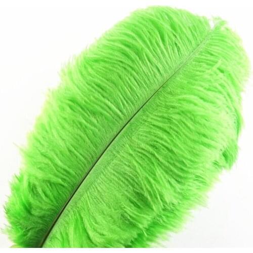 Wholesale Hard rod 10 Pcs/Lot natural Green Ostrich Feathers For Crafts 15-75CM Carnival Party Wedding Decorations Jewelry plume