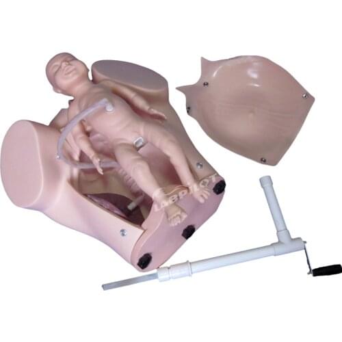 Model of Delivery Course,Birthing Mechanism Demonstration Simulator,Childbirth Training Manikin