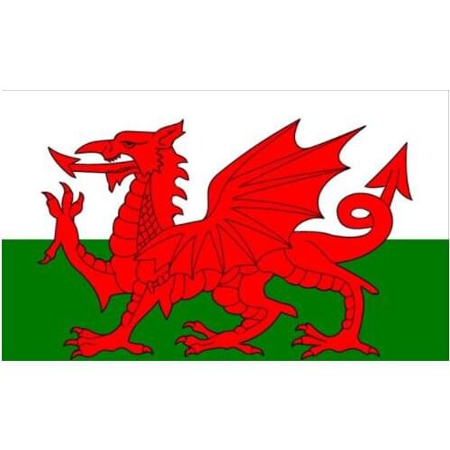 90x150cm with Wales National Flag and banner 100% polyester custom coat of arms banner
